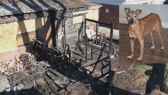 Westland couple loses everything in house fire that killed their family dog