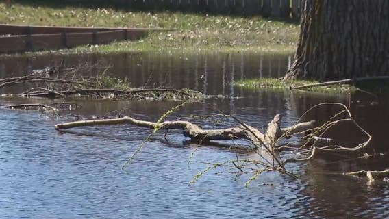 'No one cares': Constant backyard flooding worries family of special needs girl