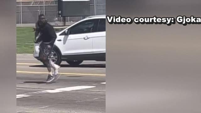 Video: Road rage gunman suspect limps from crash after shooting wearing cast on his leg