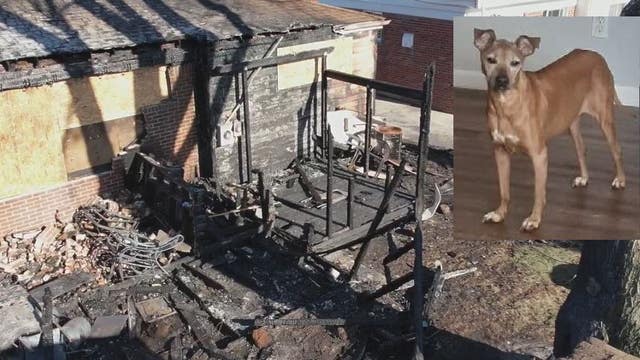 Westland couple loses everything in house fire that killed their family dog