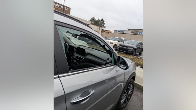 Thieves smash windows to steal purses from 2 vehicles at Ann Arbor LA Fitness