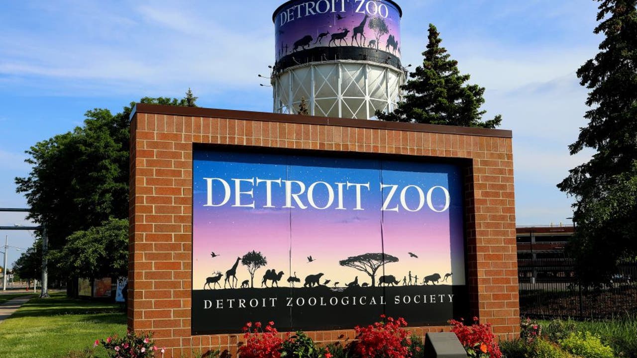 Detroit Zoo After Hours Single Event Tickets Now Available For May   GettyImages 967841470 