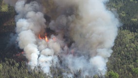 Campfire starts 136-acre wildfire in northern Michigan