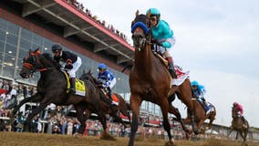 Bob Baffert’s National Treasure wins Preakness, hours after another of his horses was euthanized