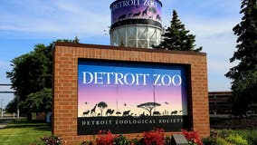 Detroit Zoo after hours: Single event tickets now available for May adult-only night