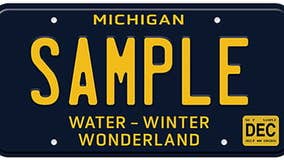 Michigan license plates: Retro plate growing in popularity, lawmaker proposes new 'next of kin' option