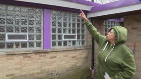 Detroit woman says cats living in her attic have kept her awake and needs help