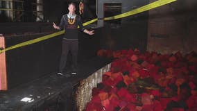 Electrical fire destroys Livonia gym, owner says insurance won't cover it all