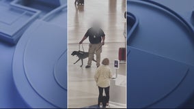 TSA canine handler at DTW under investigation after aggressively pulling dog