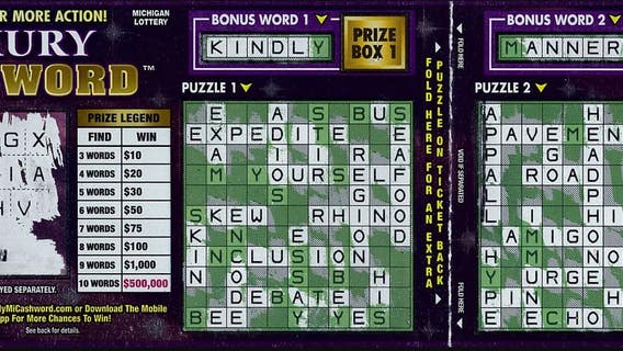 West Michigan man needed three people to confirm his massive lottery winnings