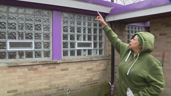 Detroit woman says cats living in her attic have kept her awake and needs help