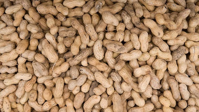 Study shows promising results with experimental skin patch to treat toddlers highly allergic to peanuts