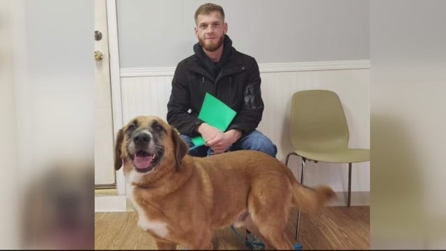 Chesterfield Twp officer saves girl's life, fired months later