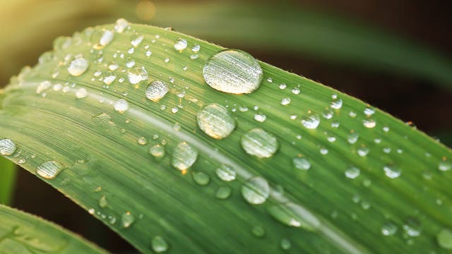 Metro Detroit weather: A rainy start to Tuesday before the day dries out