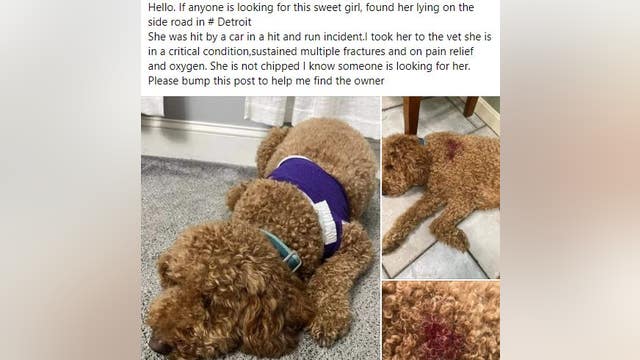 How to spot spam Facebook posts to avoid accidentally sharing scams