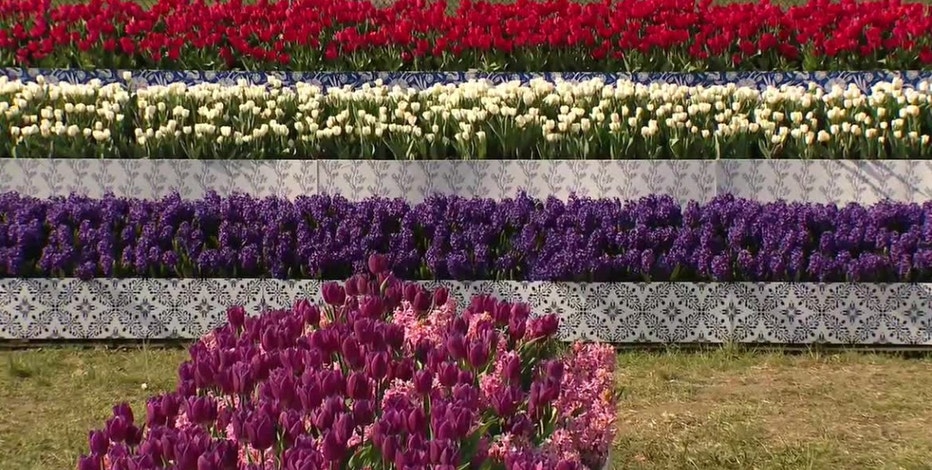 Holland Tulip Time concert, class tickets now available