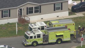 Six cats and dogs killed in Monroe County fire, others saved