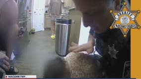 Macomb County deputies save 2-year-old found face-down in swimming pool