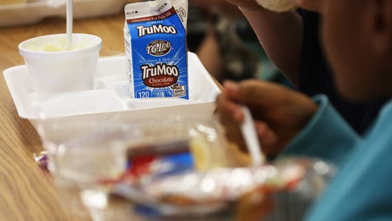 Free school breakfast & lunch, field trip funding, and more - What students get under new Michigan budget