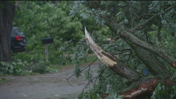 National Weather Service confirms Monroe County tornado was EF-1