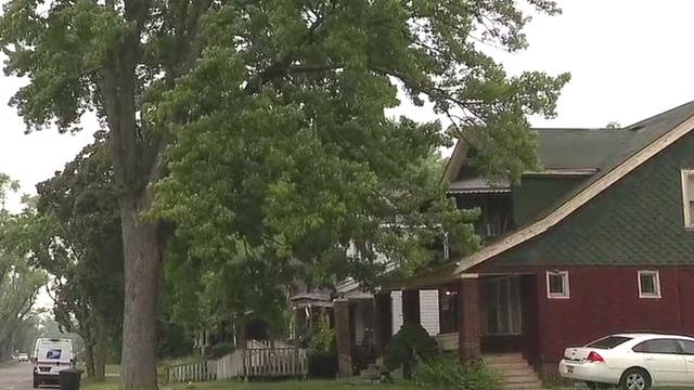 Detroit woman says her pleas to cut down dangerous tree have gone unheard by city