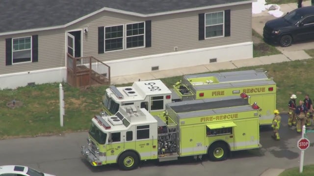 Six cats and dogs killed in Monroe County fire, others saved