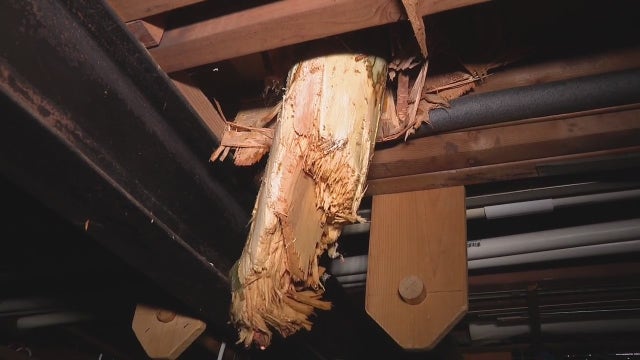 Tree crashes through Redford Township house into basement during Sunday thunderstorm