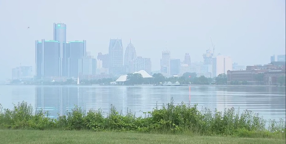 Last year's wildfire smoke killed 169 people in Michigan, new study estimates