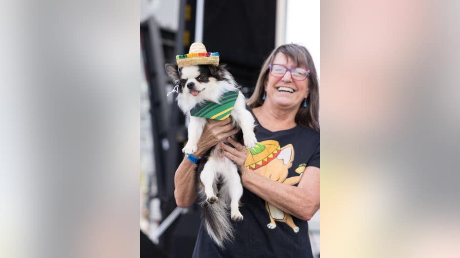 Royal Oak Taco Fest Food truck lineup, entertainment schedule, and more