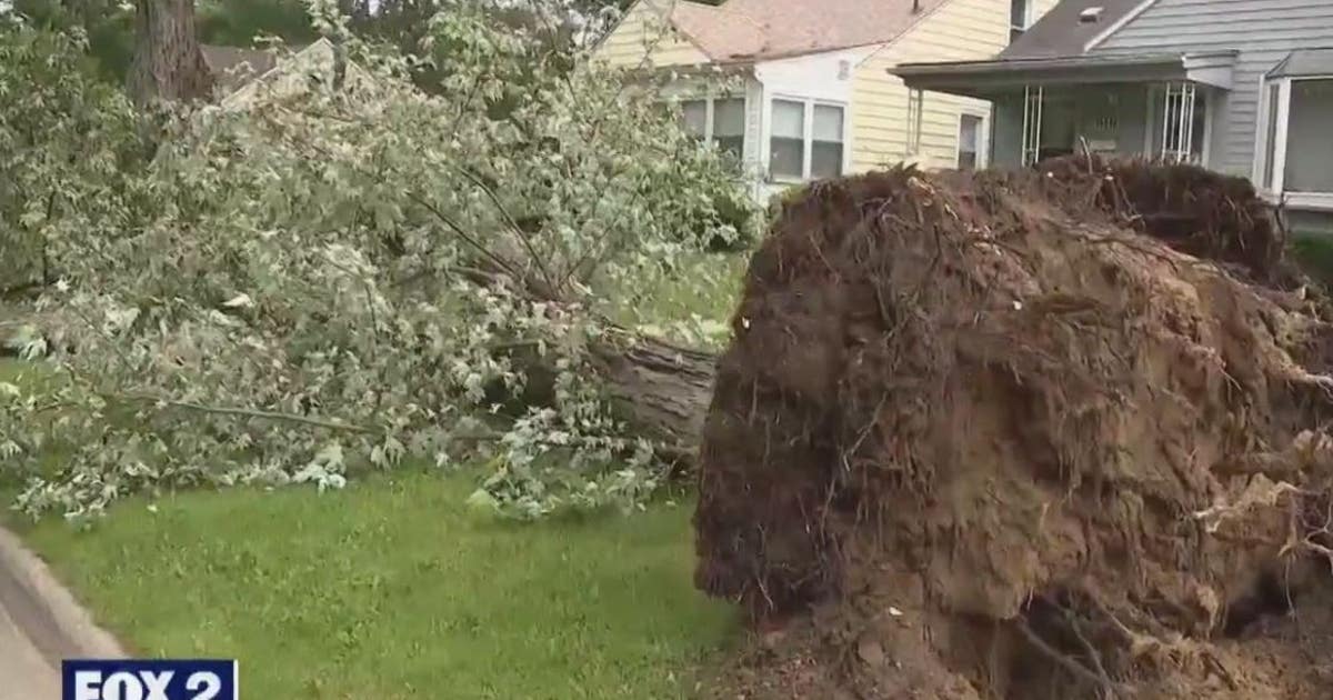 Storm cleanup continues across Metro Detroit in aftermath of Wednesday ...