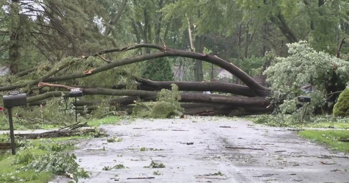 Storm damage littered across Metro Detroit as thousands sit in the dark ...