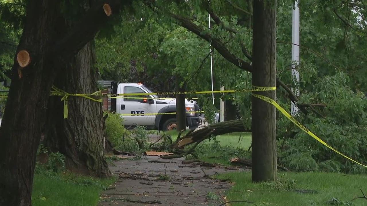 Aftermath: Trees down across Detroit, thousands without power after storms with more on way Aftermath: Trees down across Detroit, thousands without power after storms with more on way