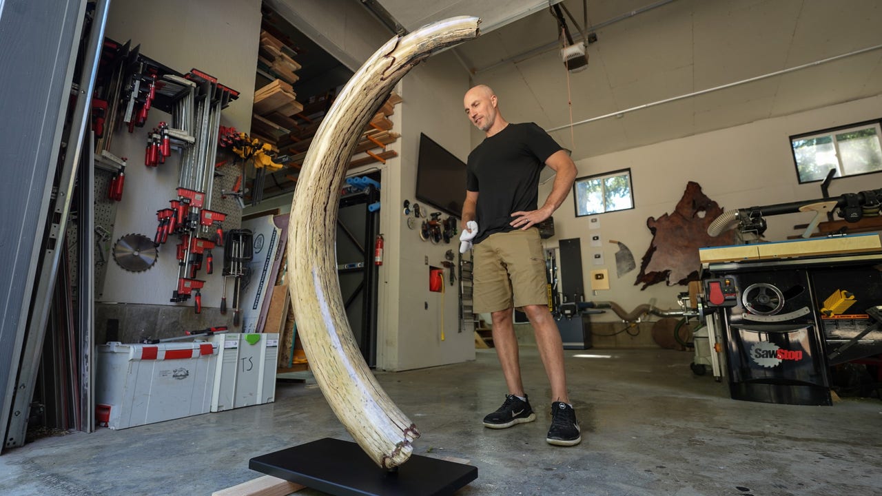 Carved Ivory Tusk