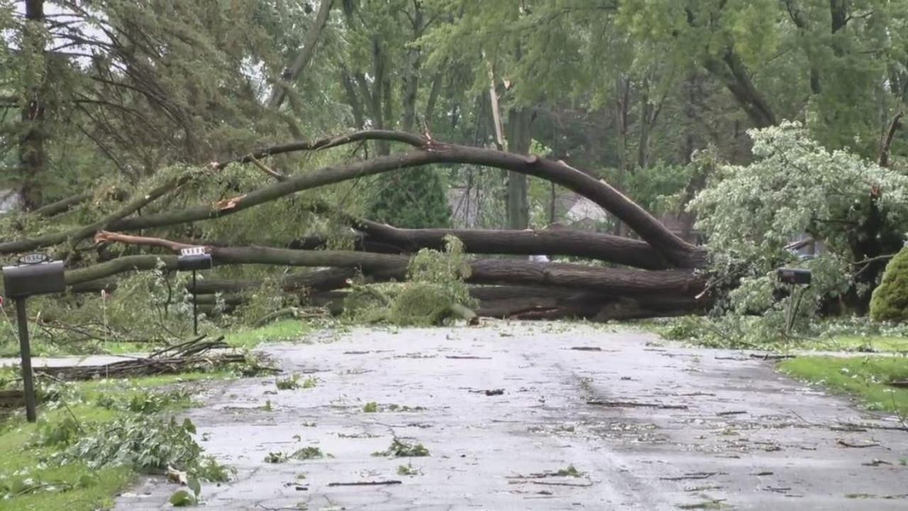 Storm damage littered across Metro Detroit as thousands sit in the dark