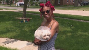 Woman faces big vet bills as she works to save pet critically injured in dog attack