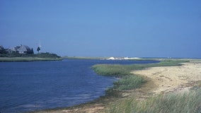 Pilot of plane that crash landed at Martha's Vineyard Airport dies