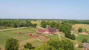 Maybury Farm hosting county fair to raise money for animals