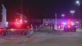 2 shot during family reunion at Pontiac apartment complex