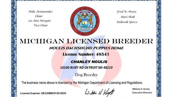 Dog breeder scam in Michigan involves using fake certificate