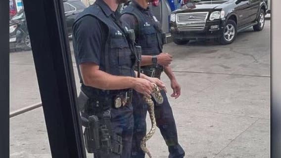 Snake found at Detroit gas station prompts call to police