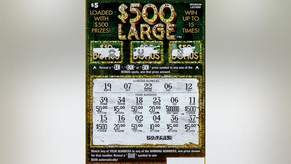 'Everything got crazy': Wayne County woman wins $500K Michigan Lottery prize while buying wine