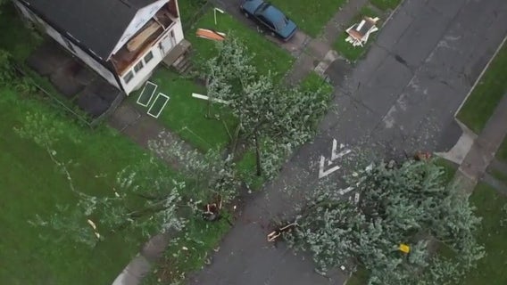 Metro Detroit storm damage: Strong winds topple trees and branches onto homes, vehicles, power lines