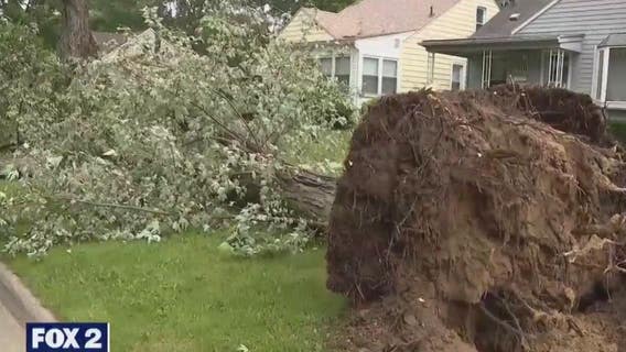 Storm cleanup continues across Metro Detroit in aftermath of Wednesday's severe weather
