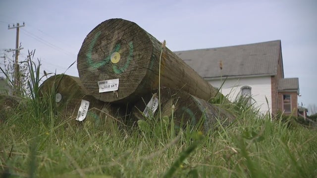 Hamtramck church activities disrupted by DTE wooden poles left for months