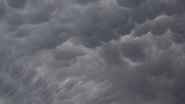 Severe thunderstorm timeline: When rain, hail, strong winds arrive in Metro Detroit