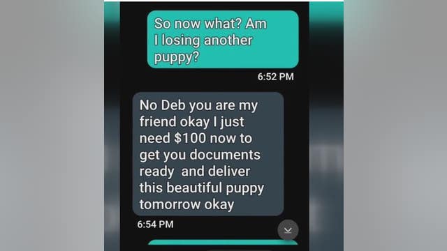 Metro Detroit woman shares scam victim tale of Dachshund puppy scheme