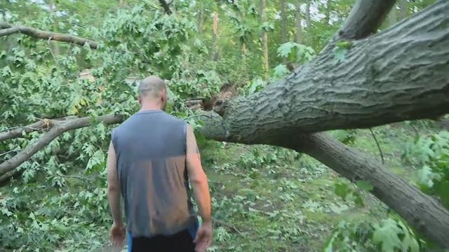 Grosse Pointe, Redford and Southfield among communities cleaning up storm damage