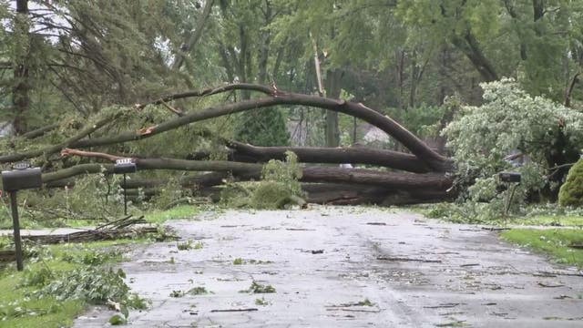 Storm damage littered across Metro Detroit as thousands sit in the dark