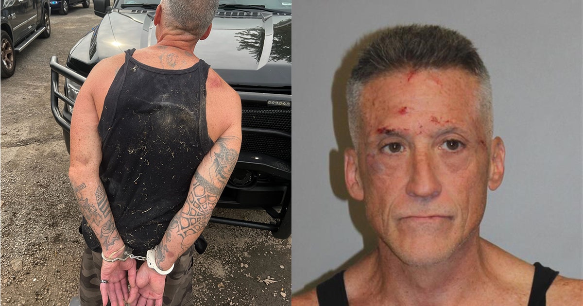 Home invasion suspect arrested in Shelby Township after hiding under ...