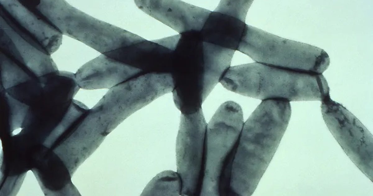 Presence of Legionella in Oakland County Courthouse found after trend of illnesses
